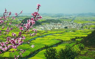 镇乡村振兴讲话稿6篇