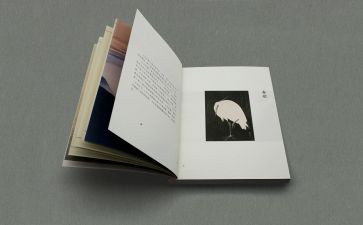 读哲学书的读后感最新5篇