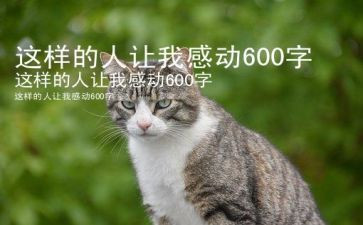 这样的人让我________作文800字5篇