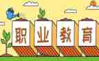 中职教师述职报告5篇