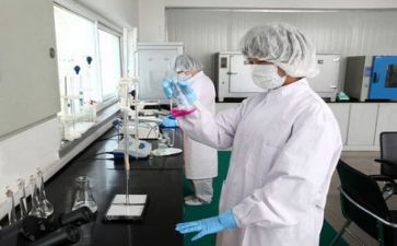 年终质量总结报告7篇