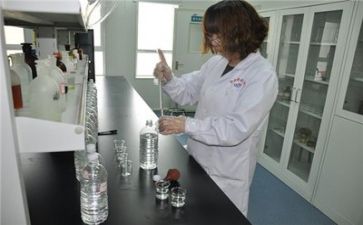 质量组工作总结优秀6篇