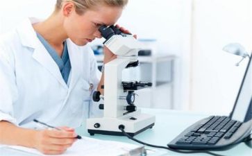 质量组工作总结范文最新8篇