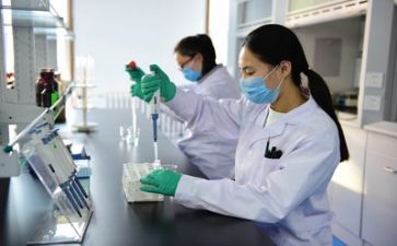 质量述职报告范文7篇