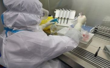 质量组工作总结推荐6篇