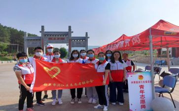 志愿活动活动方案优质7篇
