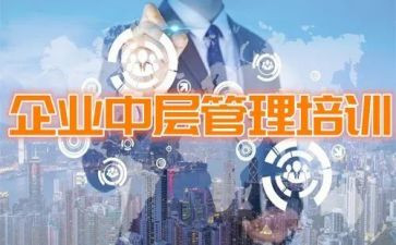 中层领导工作总结5篇