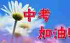 2023中考优秀作文推荐5篇