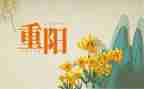 重阳节主题演讲稿模板7篇