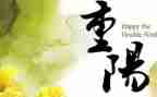 重阳节小学生演讲稿范文5篇