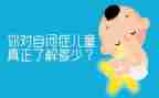 2024年自闭症活动方案5篇