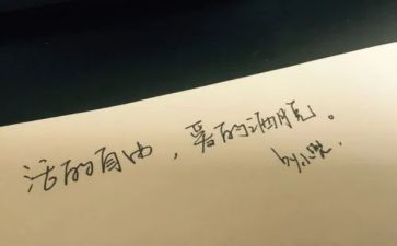 我向往的自由作文精选5篇
