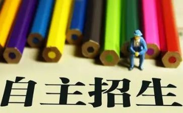 幼儿自主活动方案5篇