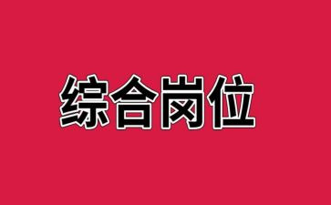 综合岗明年工作计划7篇