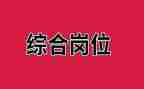 综合岗明年工作计划7篇