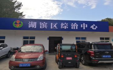 村综治员述职报告参考8篇