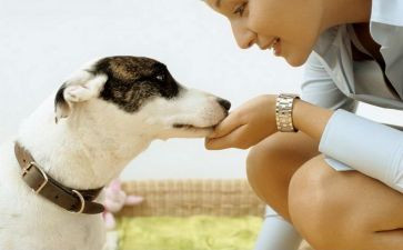 走进童年作文推荐6篇