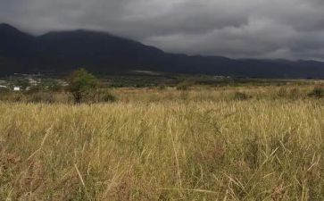 租赁合同房屋模板8篇