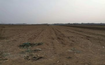 房屋租赁提前解除合同7篇