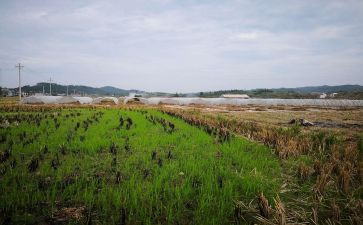 房屋租赁合同合同模板参考8篇