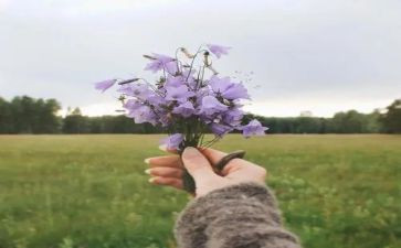 做自己的小主人作文精选5篇