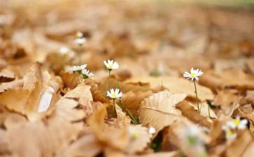 大学生做自己演讲稿5篇